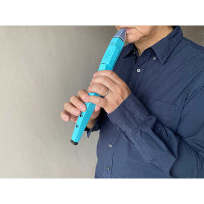 TAHORNG 電子リコーダー・Elefueエレフエ ブルー EF10BL の通販