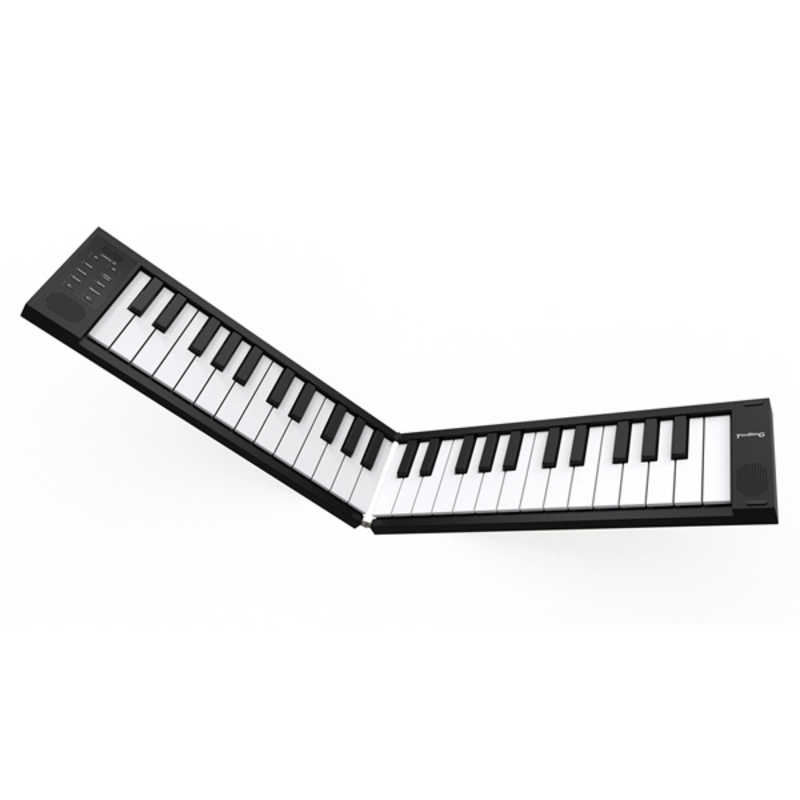 TAHORNG TAHORNG 折りたたみ式電子ピアノ/MIDIキーボード [49鍵盤] OP49BK OP49BK