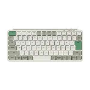 L[N L[{[h B1 Pro mLECX / BluetoothEUSB-A{USB-Cn gO[ B1PK-12Z-JIS