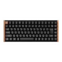 キークロン キーボード K2 HE - Special Edition- ブラック K2H-F1-JIS