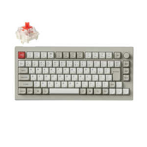 V1M-R1-JIS Ԏ [g]