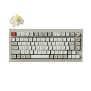 V1M-R4-JIS oii [g]