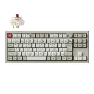 V3M-R3-JIS  [g]