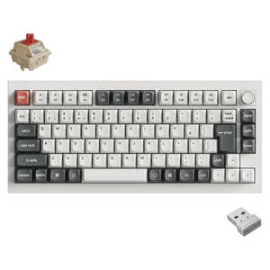 Q1U-P1V-JIS �Ԏ� [�z���C�g]