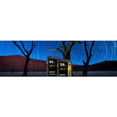 レキサー LSD2000128G-BNNNJ SDXCカード 128GB Amazon | Lexar Professional 2000x SDカード 128GB SDXC UHS-II