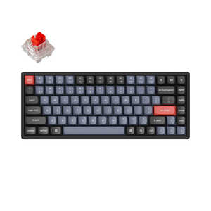  ܡ K2 Pro RGB饤(ּѸ) ͭ磻쥹 /BluetoothUSB K2P-J1-US