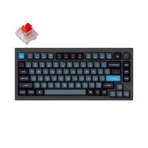 ܡ Q1 Pro RGB饤(ּѸ) ͭ磻쥹 /BluetoothUSB-AUSB-C ܥ֥å Q1P-M1-US