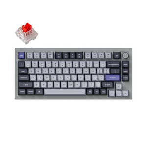  ܡ Q1 Pro RGB饤(ּѸ) ͭ磻쥹 /BluetoothUSB-AUSB-C С졼 Q1P-N1-US