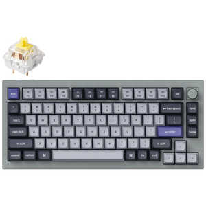  ܡ Q1 Pro RGB饤(ХʥʼѸ) ͭ磻쥹 /BluetoothUSB-AUSB-C С졼 Q1P-N4-US