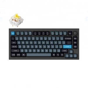  ܡ Q1 Pro RGB饤(ХʥʼѸ) ͭ磻쥹 /BluetoothUSB-AUSB-C ܥ֥å Q1P-M4-US
