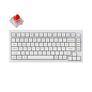  ܡ Q1 Pro RGB饤(ּѸ) ͭ磻쥹 /BluetoothUSB-AUSB-C ۥ磻 Q1P-P1W-US