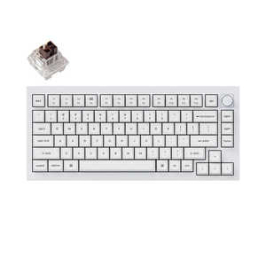  ܡ Q1 Pro RGB饤(㼴Ѹ) ͭ磻쥹 /BluetoothUSB-AUSB-C ۥ磻 Q1P-P3W-US