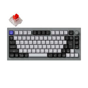  ܡ Q1 Pro RGB饤(ּ) ͭ磻쥹 /BluetoothUSB-AUSB-C С졼 Q1P-N1-JIS