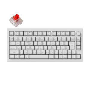  ܡ Q1 Pro RGB饤(ּ) ͭ磻쥹 /BluetoothUSB-AUSB-C ۥ磻 Q1P-P1W-JIS