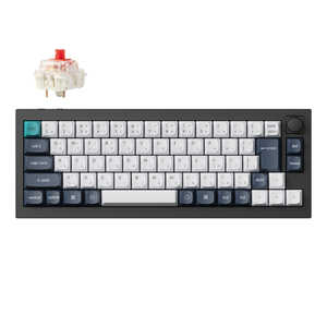 キークロン キーボード Q2 Max RGBライト(赤軸) ［有線・ワイヤレス /Bluetooth・USB (Type-C)］ Q2M-M1-JIS