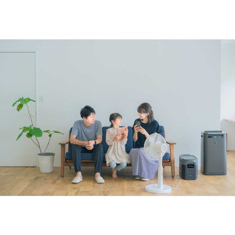 エコフロー エコフロー EcoFlow ポータブル電源 DELTA 2 Max [2048Wh /15出力 /ソーラーパネル(別売)]  EFDELTA2MAX-JP EFDELTA2MAX-JP