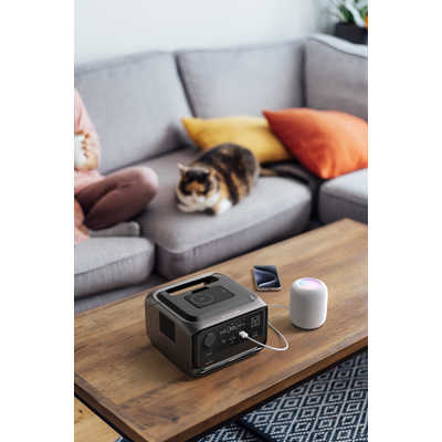 エコフロー EcoFlow RIVER 3 Plus wireless ［リン酸鉄リチウムイオン
