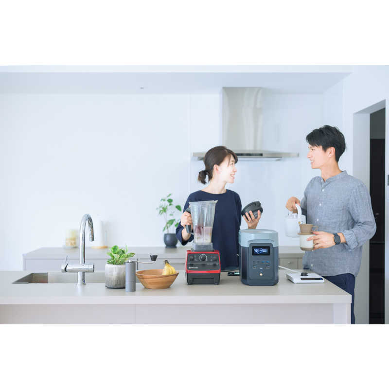 エコフロー エコフロー EcoFlow ポータブル電源 DELTA2 [1024Wh /15出力 /ソーラーパネル(別売)]  ZMR330-JP ZMR330-JP