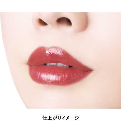 キャンメイク CANMAKE むちぷるティント 05 フィグピューレ (2.7g) の