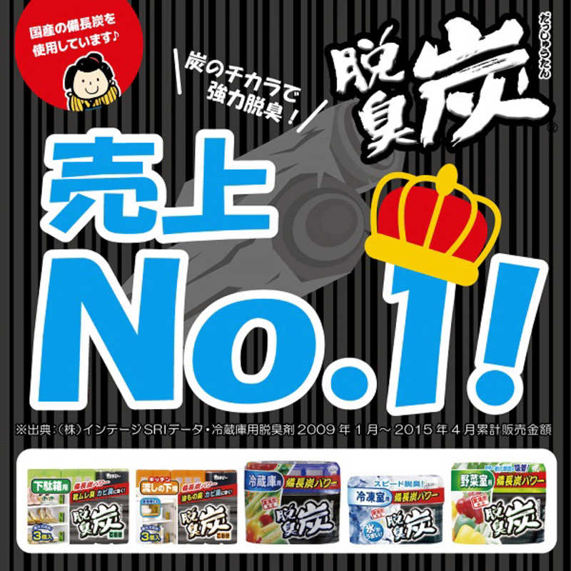 エステー エステー 脱臭炭 クローゼット・押入れ用 脱臭剤 300g  