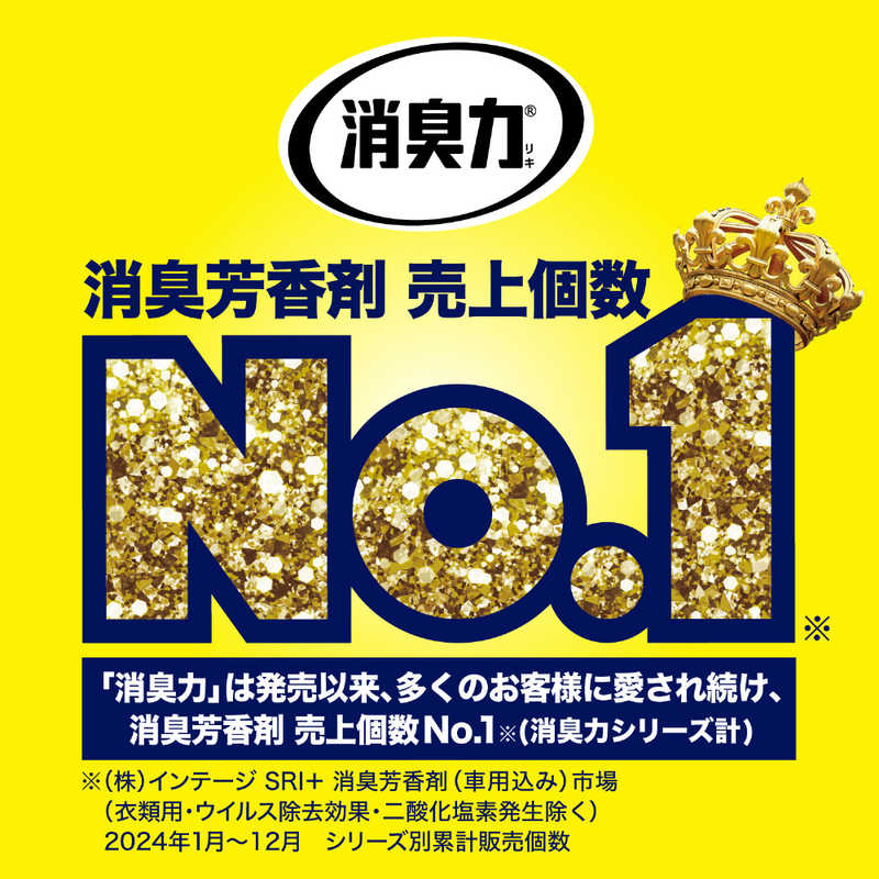 エステー エステー 消臭力 クリアビーズ イオン消臭プラス 消臭剤 部屋 玄関 リビング 大容量 つめかえ 無香料 800g  