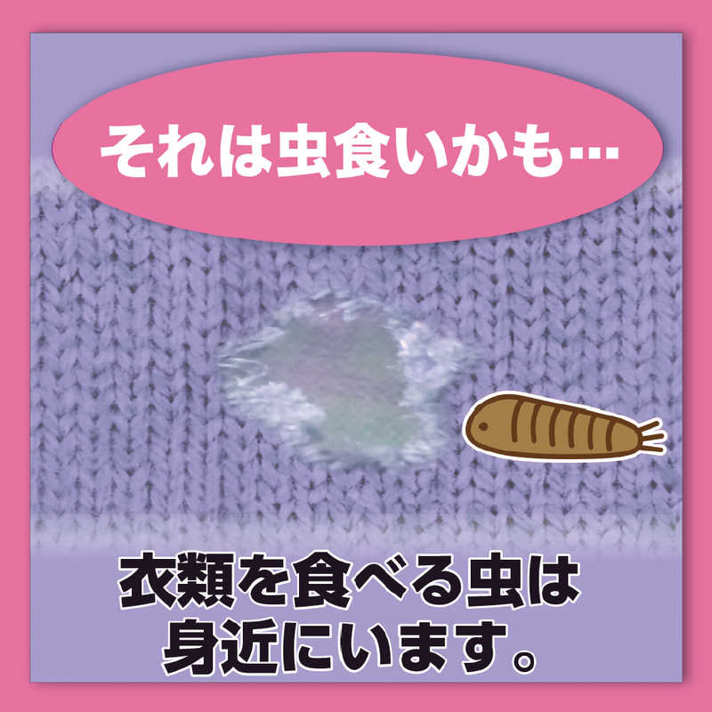 エステー エステー ムシューダ 1年間有効 衣類 防虫剤 ウォークインクローゼット専用 3個入 やわらかフローラルの香り  