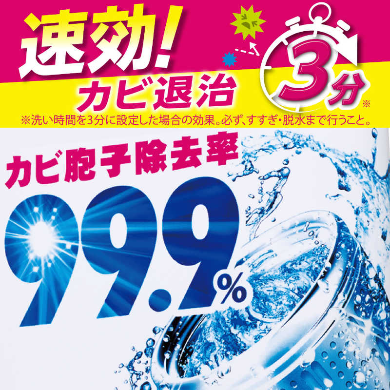 エステー エステー 洗浄力 洗たく槽クリーナー 550g 〔洗濯槽クリーナー〕  