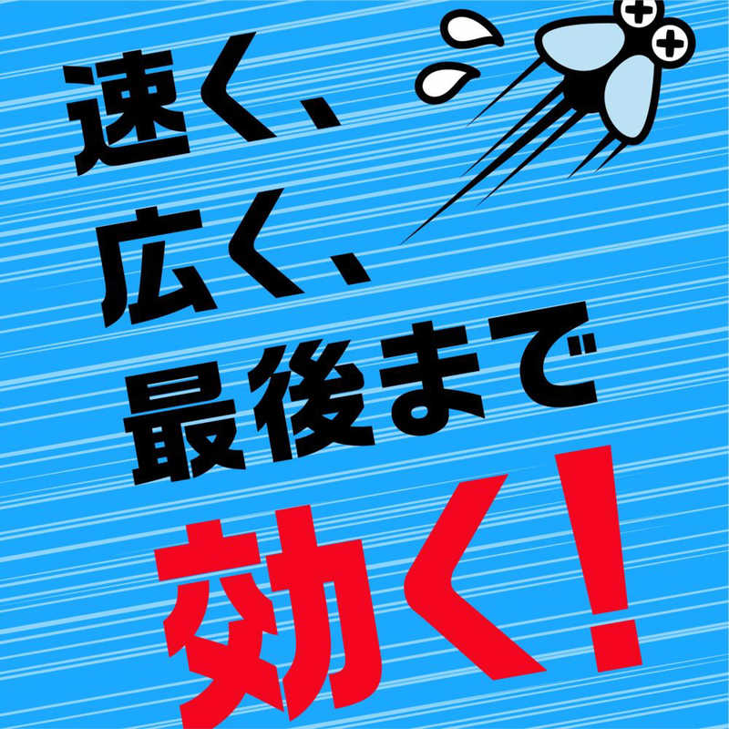 アース製薬 アース製薬 アース 虫よけネットEX 玄関用 260日用  