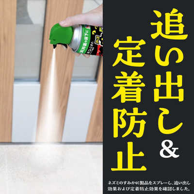 ネズミちゃん】FTM専用サポーター（単品） | G-pit Store