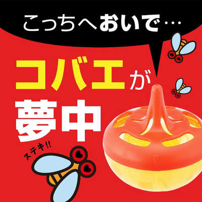 コバエがホイホイ 2個入り Amazon.co.jp: Earth Pharmaceutical アース製薬 コバエが