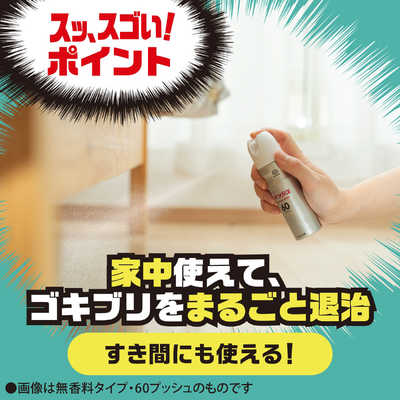 アース製薬 ゴキッシュ スッ、スゴい！ ハッカの香り 60プッシュ