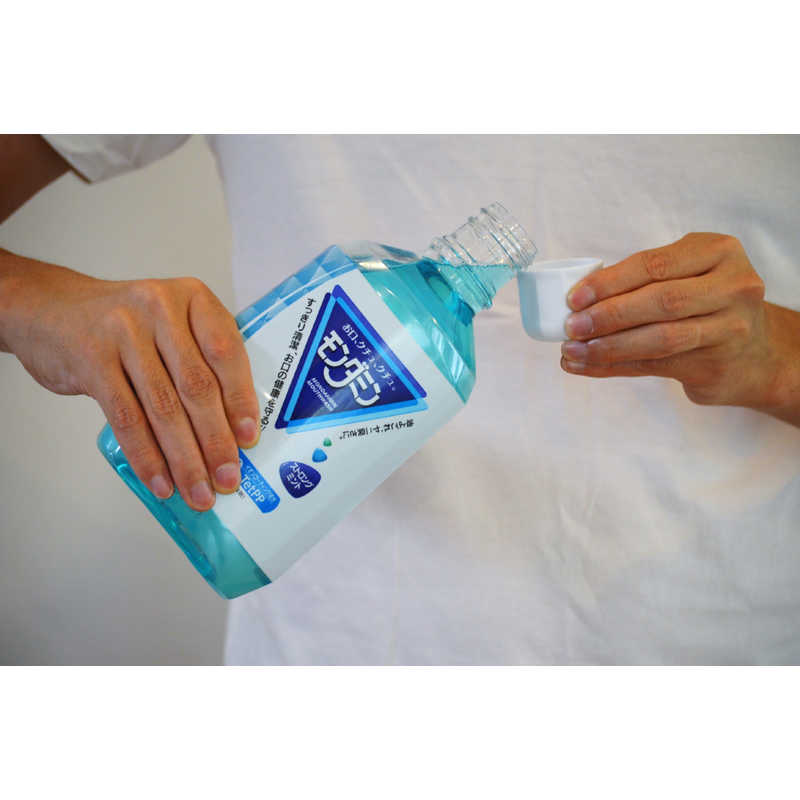 アース製薬 アース製薬 モンダミン ストロングミント 1080ml  