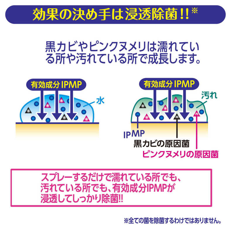 アース製薬 アース製薬 らくハピ 水まわりの防カビスプレー ピンクヌメリ予防 無香性 (400ml) 〔洗濯槽クリーナー〕  