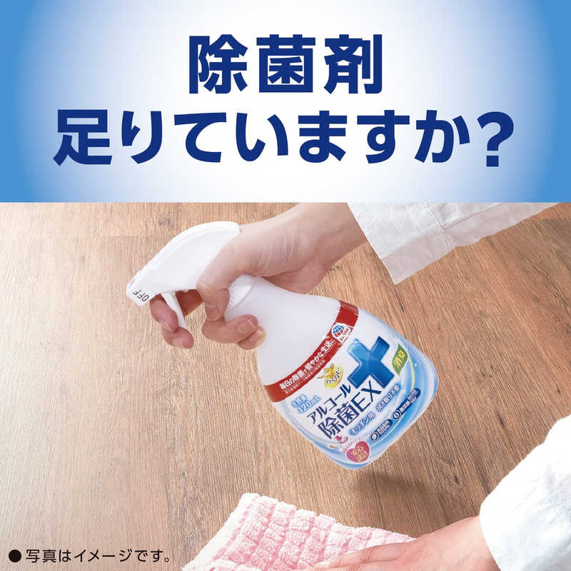 アース製薬 アース製薬 らくハピ アルコール除菌EX つめかえ740ml  