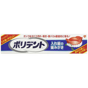 GSK ｢ポリデント｣入れ歯の歯みがき 95g 