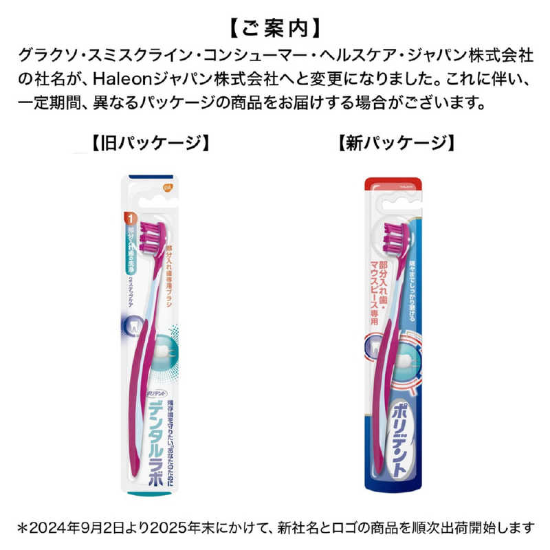 GSK GSK デンタルラボ 部分入れ歯専用ブラシ 1本  