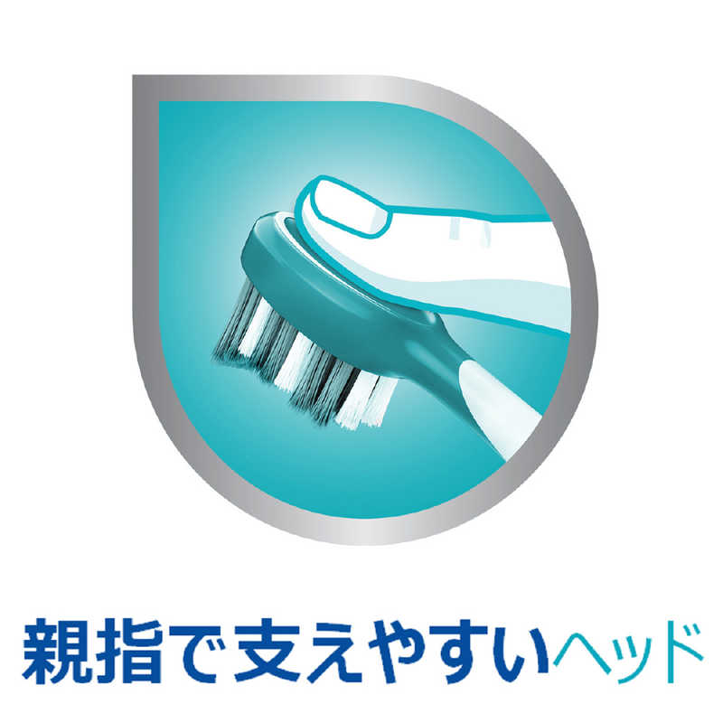 GSK GSK デンタルラボ 部分入れ歯専用ブラシ 1本  