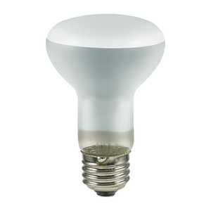 ELPA Ĺ̿ե[E26 /40W] ERF110V40W-L