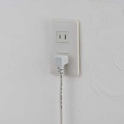 ELPA 家具用スイッチ付コンセント2個口 L型プラグ FO-22S-W の通販