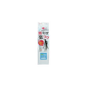 アイセン ロングトイレブラシケース付 TN301 アイセン ロングトイレブラシケース付 TN301