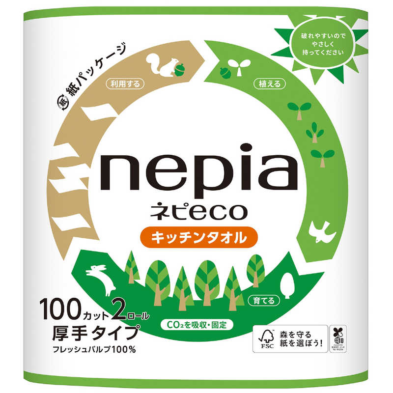 ネピア nepia ネピア nepia ネピECOキッチンタオル 2ロール100カット  