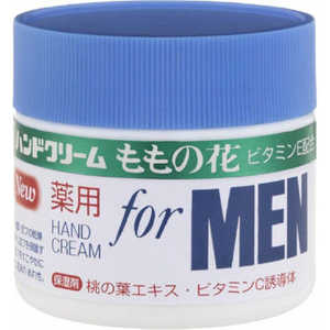 ¥ʥ β ѥϥɥ꡼ FOR MEN 70g