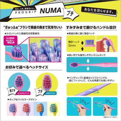 エビス プログリップ NUMA ハブラシ 鬼プッチ ふつう プログリNUMAプチ