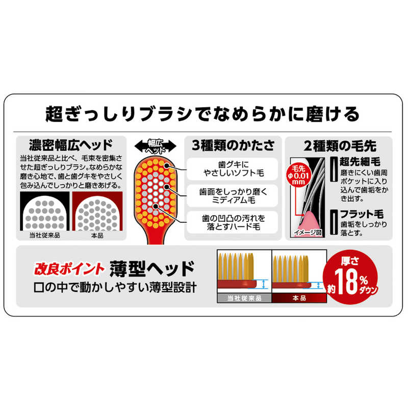 残りわずか エビス ザ プレミアムケアハブラシ レギュラー やわらかめ Andresimoneau Com