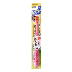 ӥ ץߥॱ5󥳥ѥ դĤ ץߥॳ5CM