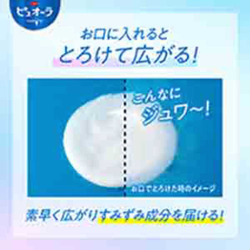 花王 花王 Pure Oral(ピュオーラ) トラベル用歯磨き粉 クリーンミント 30g×2本  