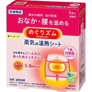 花王 めぐりズム 蒸気の温熱シート 下着の内側面に貼るタイプ(5枚入) 