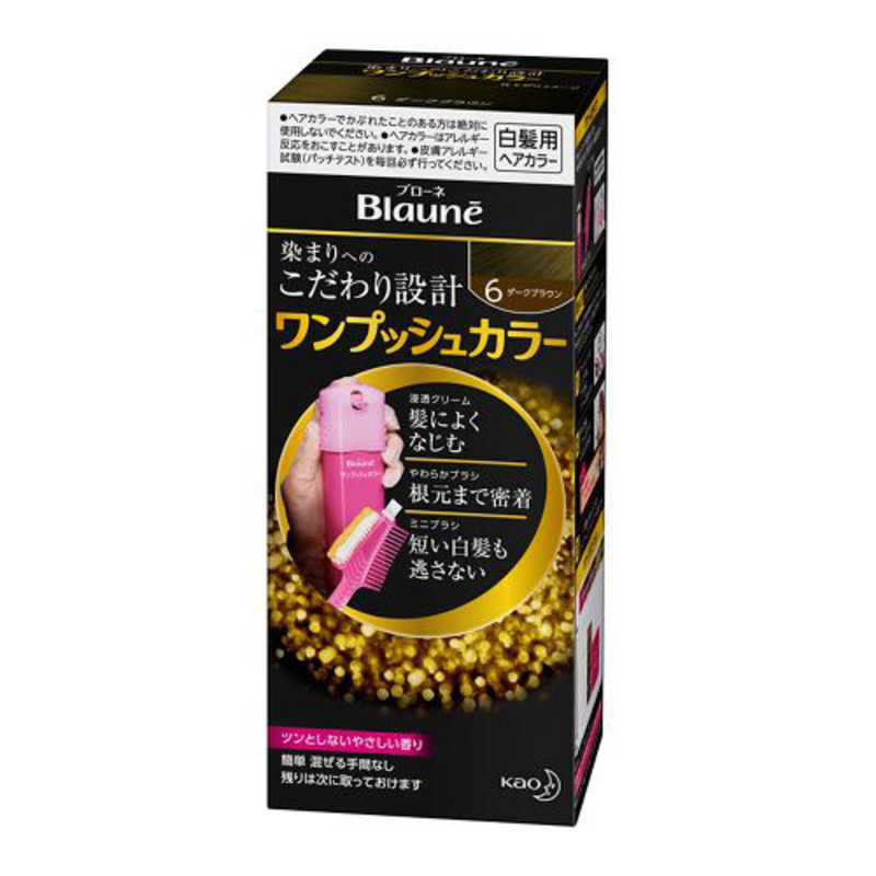 花王 花王 Blaune(ブローネ) ワンプッシュカラー 6 ダークブラウン 1剤40g+2剤40g  