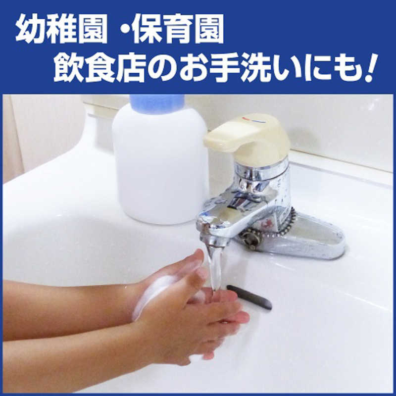 花王 花王 【業務用 泡ハンドソープ】Biore ビオレu 泡ハンドソープ 2L×3個(プロフェッショナルシリーズ) フルーツの香り  