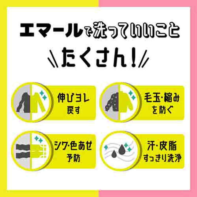 花王 花王 EMAL(エマール)本体 500ml〔おしゃれ着用〕 リフレッシュグリーンの香り  